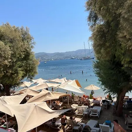 Farrys Boutique & Club -