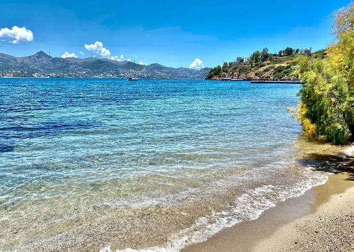 호텔 Farrys Boutique & Club - *