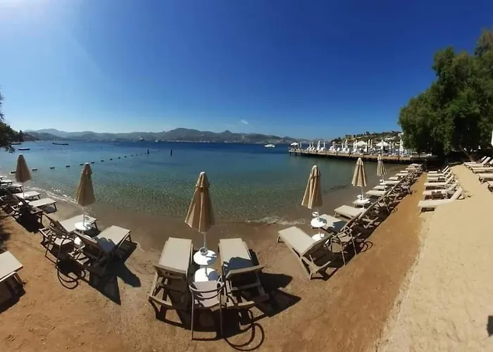 Farrys Boutique & Club - 호텔 *